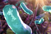 Genetically tailored microbes could tweak our microbiomes