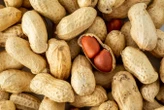 Daily doses of peanuts could desensitise adults with the allergy
