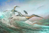 Early penguins may have used dagger-like beaks to skewer prey