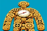 How revolutionary new tests can unlock the power of your body clock