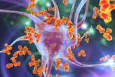 Multiple sclerosis genes may have arisen to ward off animal infections