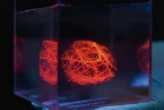 Complex blood vessel nets could be 3D printed for artificial organs