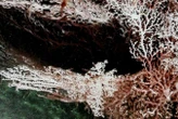 Deep-living microbes could 'eat' energy generated by earthquakes