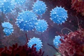 Cancer-killing virus becomes more effective when shielded by bacteria