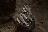 30,000-year-old toolkit shows what ancient hunter carried in a pouch