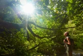 Forest bathing may boost physical health, not just mental well-being