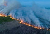 Massive wildfires in Canada helped keep the world cooler in 2023