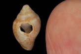 Artefacts hint at cultural exchange between Neanderthals and humans