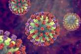 Flu viruses have evolved proteins that let them break through mucous