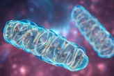 The mystery of highly reactive oxygen has finally been solved