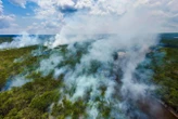 Carbon-offset schemes aren't prepared for forests to burn