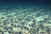 We may have discovered how dark oxygen is being made in the deep sea