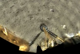 Simple device can produce water, oxygen and fuel from lunar soil