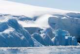 There are growing fears of an alarming shift in Antarctic sea ice