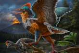 Quail-sized feathered dinosaur may be the earliest known bird