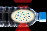 There can be 240,000 plastic particles in a litre bottle of water