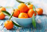 How the evolution of citrus is inextricably linked with our own