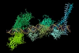 mRNA drugs could protect against almost any kind of viral infection