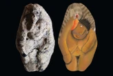 Ancient figurine may show sexual encounter between woman and goose