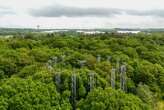 Can we rely on forests to soak up the extra CO2 in the atmosphere?