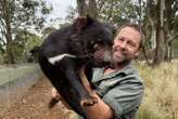 The bold plan to bring back Tasmanian devils across mainland Australia