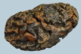 We’re about to unlock the secrets of ancient human brains