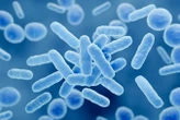 Probiotics helped reduce fatigue and memory loss from long covid