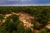Tropical forest loss doubled in 2024 as wildfires rocketed