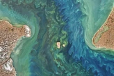 A vast dam across the Bering Strait could stop the AMOC collapsing