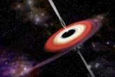 Black holes may inherit their magnetic fields from neutron stars