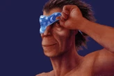 Humans sleep the least of all apes – is it the secret to our success?