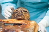 Ötzi's frozen remains may harbour metabolically active microbes