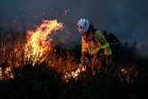 Deliberate fires are responsible for half of the land burned each year