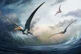 Australian pterosaur had a huge tongue to help gulp down prey