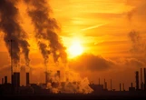 'We're precipitating an extermination rather than an extinction event'