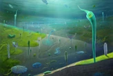 Surprise fossil discoveries push back the evolution of complex animals