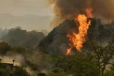 Earth's carbon sinks are being eroded by climate change feedback loops