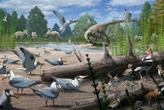 First evidence of ancient birds nesting above the Arctic circle