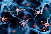Fatal genetic disorder treated by replacing the brain's immune cells