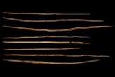 Ancient hunters may have used throwing spears 300,000 years ago