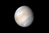A renegade moon may have flipped Venus’s spin