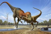 Tiny T. rex fossils may be distinct species – but not everyone agrees