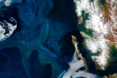 Arctic Ocean reaches tipping point that could be dire for marine life