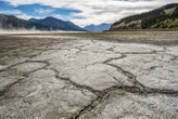 We are undergoing unprecedented loss of freshwater across the planet
