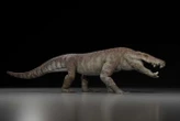Ancient crocodile relative could have ripped dinosaurs apart