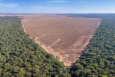 Cutting down the Amazon will bring extreme rain, wind and heat