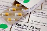 Tamiflu seems to relieve noise-induced hearing loss in mice