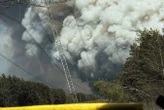 Fire is spreading in the Chernobyl exclusion zone after drone crash