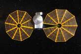 NASA’s Lucy spacecraft is hurtling towards the tiny asteroid Dinkinesh