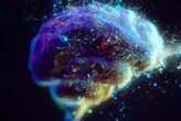 We've figured out how our brains sort imagination from reality
